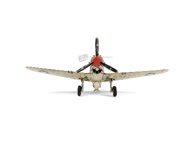 British Curtiss P-40b / Tomahawk Mk Iib - zdjęcie 6