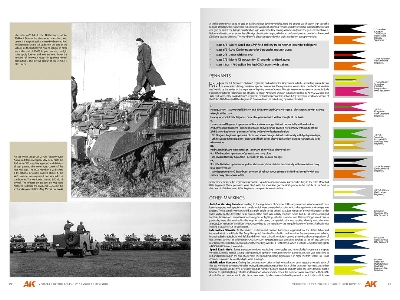 Vehicles Of The Polish 1st Armoured Division - Camouflage Profile Guide (English) - zdjęcie 4