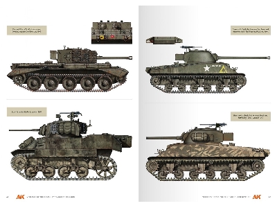Vehicles Of The Polish 1st Armoured Division - Camouflage Profile Guide (English) - zdjęcie 7
