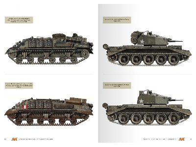 Vehicles Of The Polish 1st Armoured Division - Camouflage Profile Guide (English) - zdjęcie 8