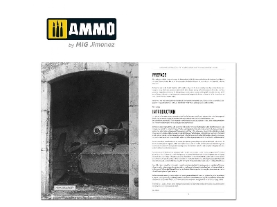 Italienfeldzug - German Tanks And Vehicles 1943-1945 Vol. 4 (English) - Limited Edition - zdjęcie 9