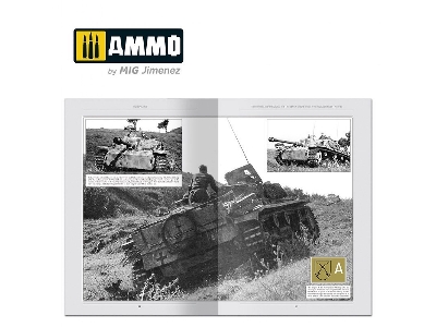 Italienfeldzug - German Tanks And Vehicles 1943-1945 Vol. 4 (English) - Limited Edition - zdjęcie 12