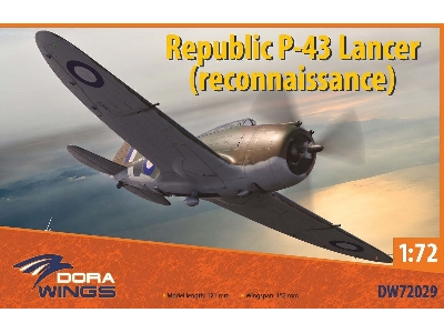 Republic P-43 Lancer (Reconnaissance) - zdjęcie 1