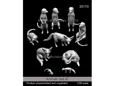 Animals Set 47 - zdjęcie 1