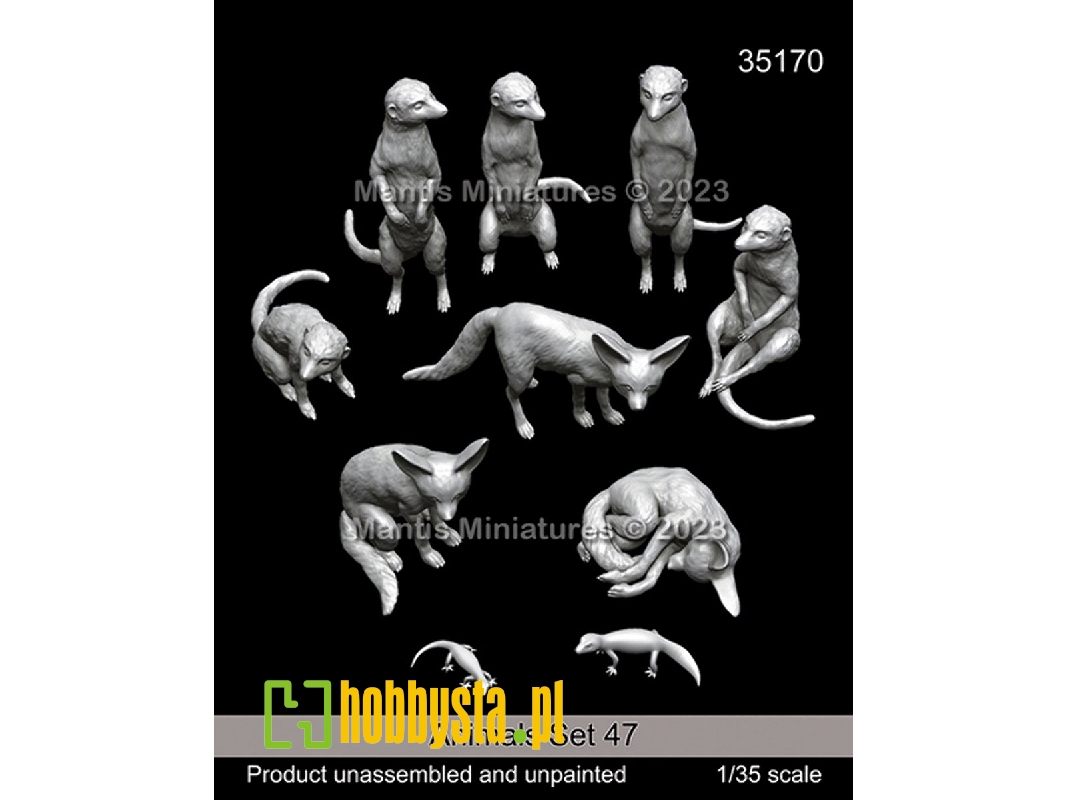 Animals Set 47 - zdjęcie 1