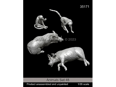 Animals Set 48 - zdjęcie 1