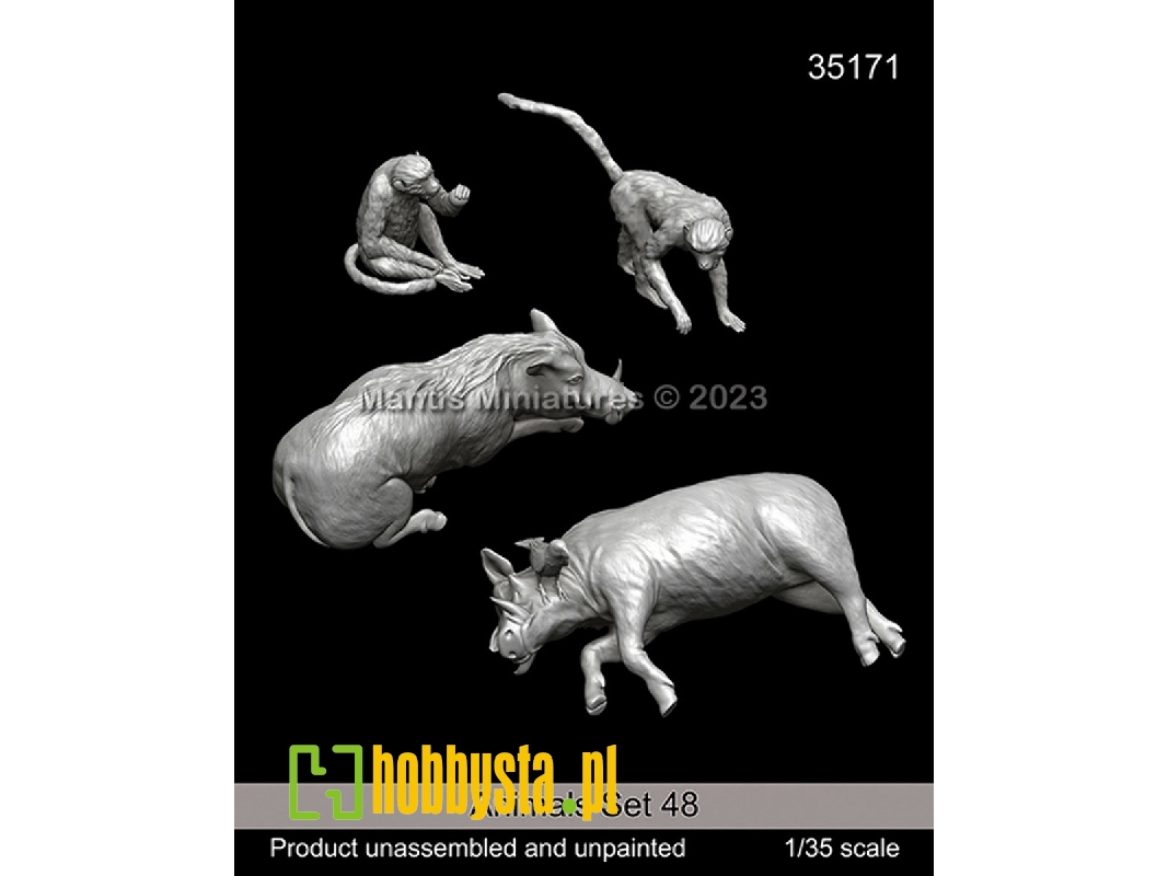 Animals Set 48 - zdjęcie 1