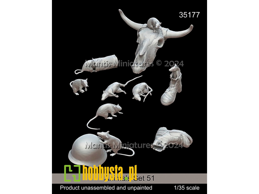 Animals Set 51 - zdjęcie 1 Animals Set 51 - zdjęcie 1