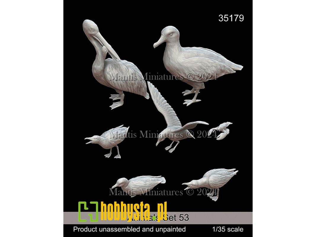 Animals Set 53 - zdjęcie 1