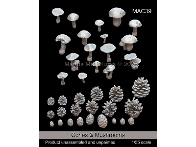 Cones And Mushrooms - zdjęcie 1