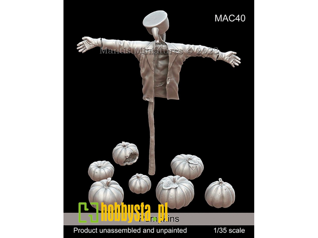 Pumpkins - zdjęcie 1 Pumpkins - zdjęcie 1