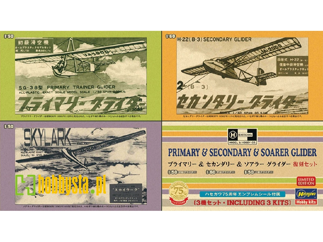 Primary And Secondary Soarer Glider (3 Kits In Box) - zdjęcie 1 Primary And Secondary Soarer Glider (3 Kits In Box) - zdjęcie 1