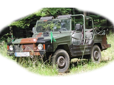 0,5t Light Truck 4x4 Iltis - zdjęcie 10