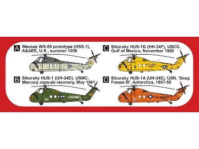 Sikorsky S-58 'special Service' - zdjęcie 2