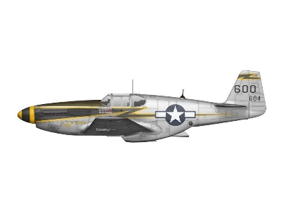 F-6C Mustang - zdjęcie 5