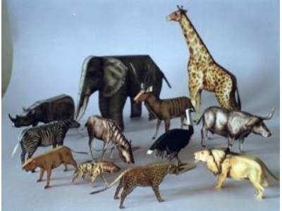 Modele Zwierząt - Zwierzęta Afryki (12 Zwierząt) - zdjęcie 1