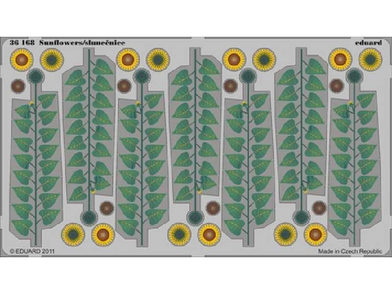  Sunflowers - colour 1/35 - blaszki - zdjęcie 1