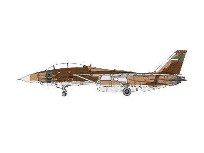 Grumman F-14a Tomcat Iriaf - zdjęcie 2
