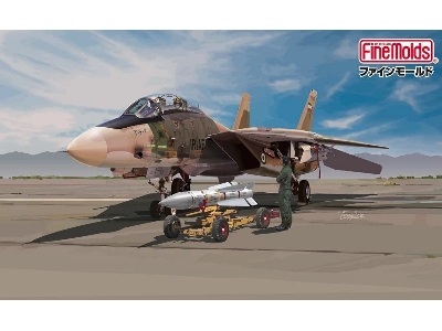 Grumman F-14a Tomcat Iriaf - zdjęcie 3