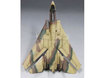 Grumman F-14a Tomcat Iriaf - zdjęcie 10