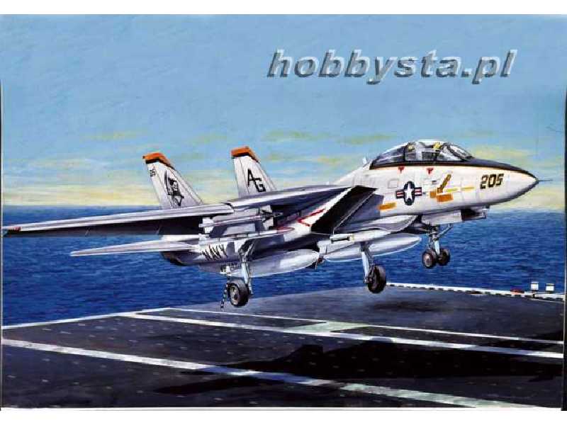 F-14A Tomcat - zdjęcie 1 F-14A Tomcat - zdjęcie 1