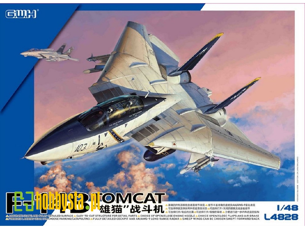 Us Navy F-14b Tomcat - zdjęcie 1 Us Navy F-14b Tomcat - zdjęcie 1