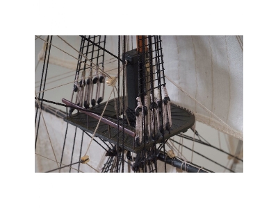 Hermione La Fayette - zdjęcie 22