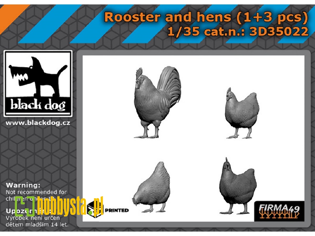 Rooster And Hens (1pc And 3pcs) - zdjęcie 1 Rooster And Hens (1pc And 3pcs) - zdjęcie 1