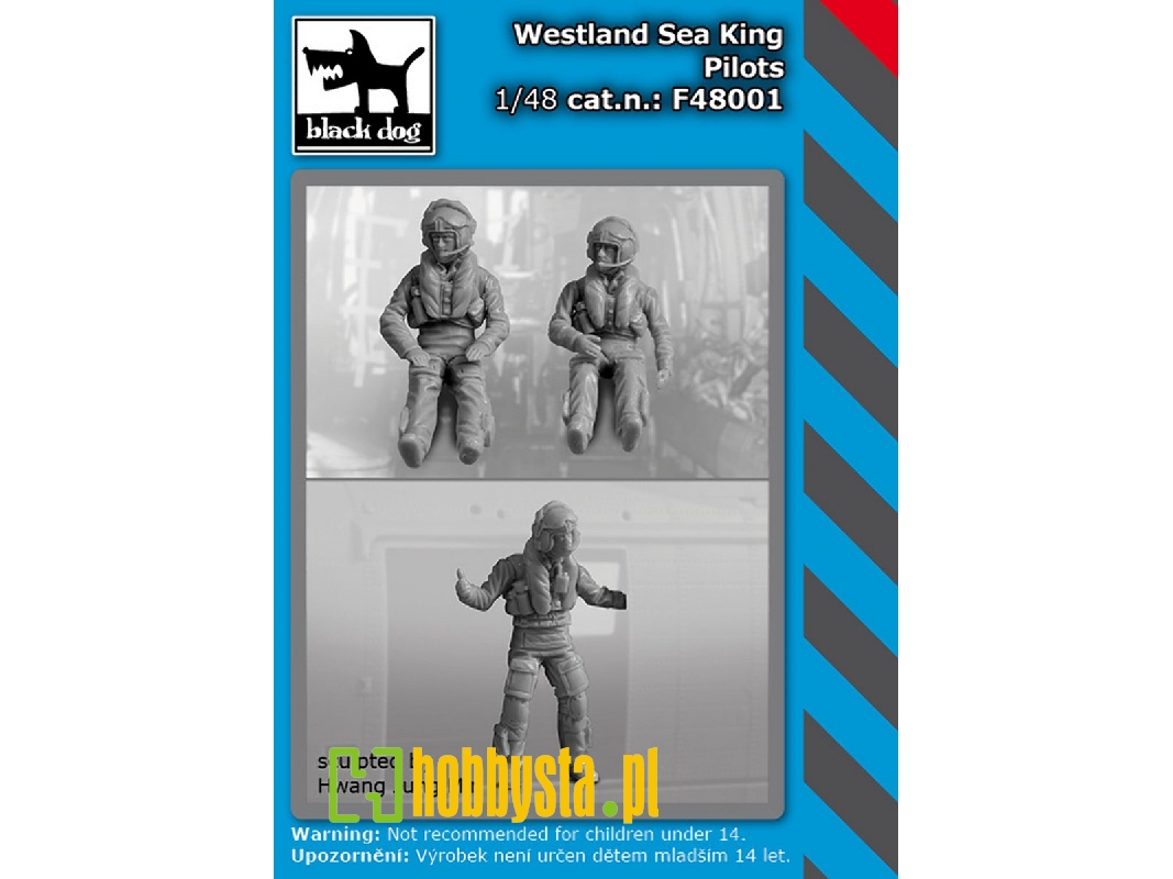 Westland Sea King Pilots - zdjęcie 1 Westland Sea King Pilots - zdjęcie 1