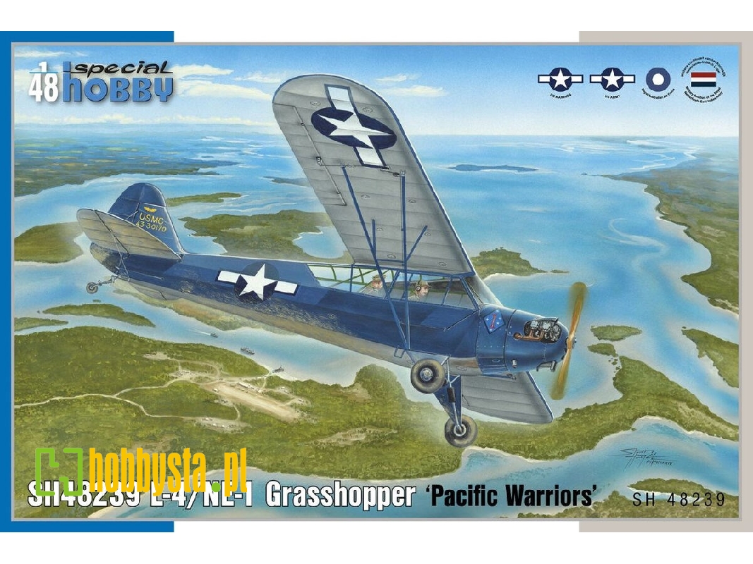 L-4/Ne-1 Grasshopper 'pacific Warriors' - zdjęcie 1 L-4/Ne-1 Grasshopper 'pacific Warriors' - zdjęcie 1