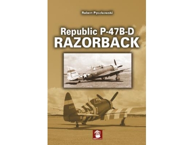 Republic P-47b-d Razorback - zdjęcie 1