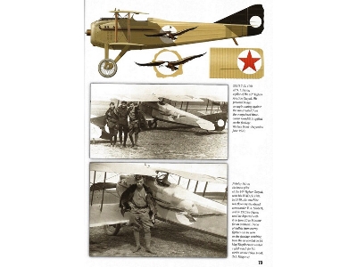 Russian Aviation Colours 1909-1922, Vol.3 Red Stars - zdjęcie 2