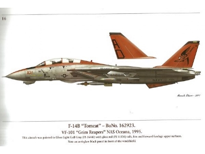 Grumman F-14 Tomcat - zdjęcie 2