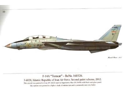 Grumman F-14 Tomcat - zdjęcie 3