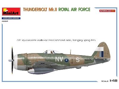 Thunderbolt Mk.Ii. Royal Air Force. Advanced Kit - zdjęcie 5