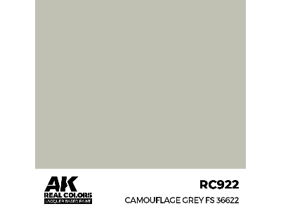 Rc922 Camouflage Grey Fs 36622 - zdjęcie 1