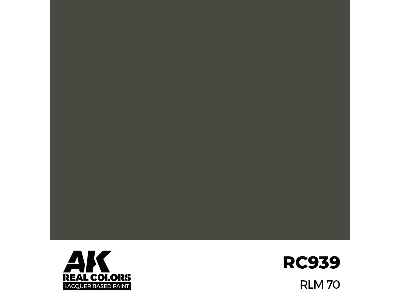 Rc939 Rlm 70 - zdjęcie 1
