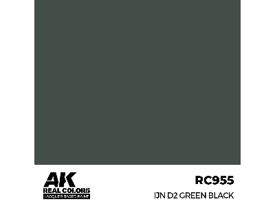 Rc955 Ijn D2 Green Black - zdjęcie 1