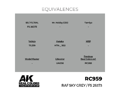 Rc959 Raf Sky Grey - zdjęcie 3