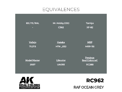 Rc962 Raf Ocean Grey - zdjęcie 3