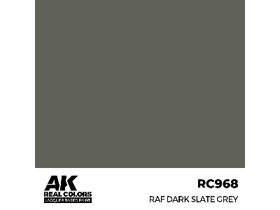 Rc968 Raf Dark Slate Grey - zdjęcie 1