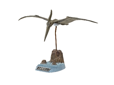 Pteranodon - zdjęcie 3