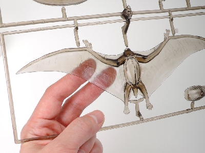 Pteranodon - zdjęcie 6