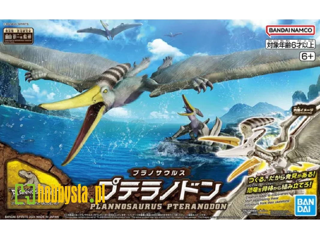 Plannosaurus - Pteranodon - zdjęcie 1 Plannosaurus - Pteranodon - zdjęcie 1