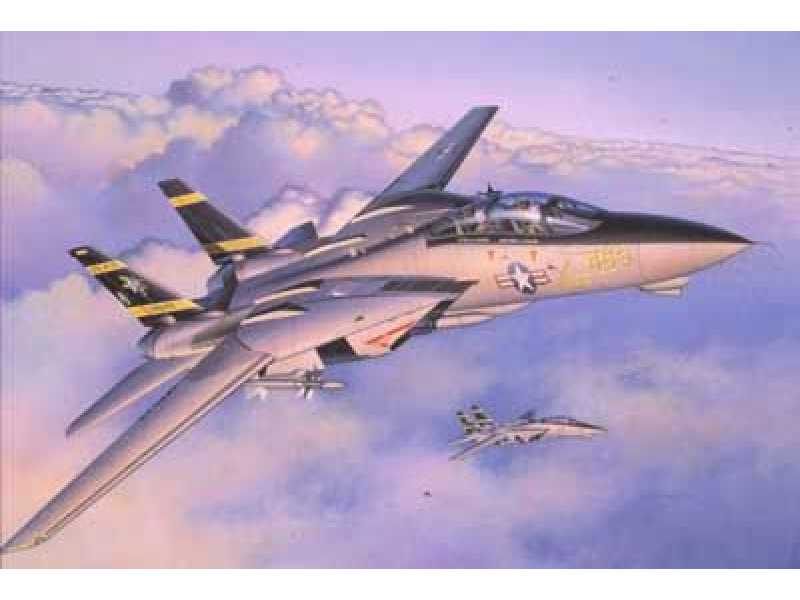 F-14A Tomcat - zdjęcie 1 F-14A Tomcat - zdjęcie 1