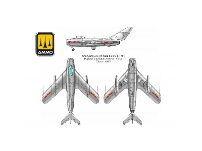 Mig-17 F / Shenyang J-5 - Vietnam China And North Korea Service - zdjęcie 5