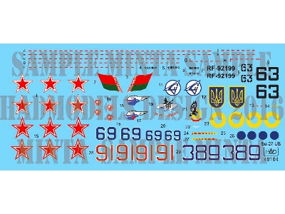 Su-27 Ub Russian- Air Force, Ukraine - Air Force, Belarus - Air Force - zdjęcie 1
