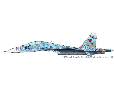 Su-27 Ub Russian- Air Force, Ukraine - Air Force, Belarus - Air Force - zdjęcie 4