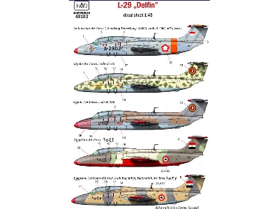 L-29 Egypt Air Force, Uganda Air Force, United Arab Air Force / Egypt/ Indonesian Air Force - zdjęcie 2