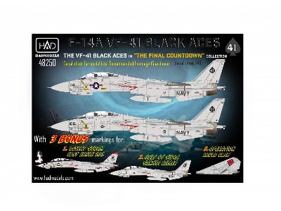 F-14a Black Aces "the Final Countdown" - zdjęcie 1